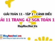 Giải bài 11 trang 42 Toán 11 tập 1 SGK Cánh Diều